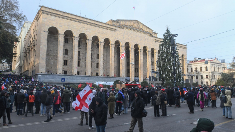 Полицейские оттесняют протестующих в Тбилиси от елки у парламента