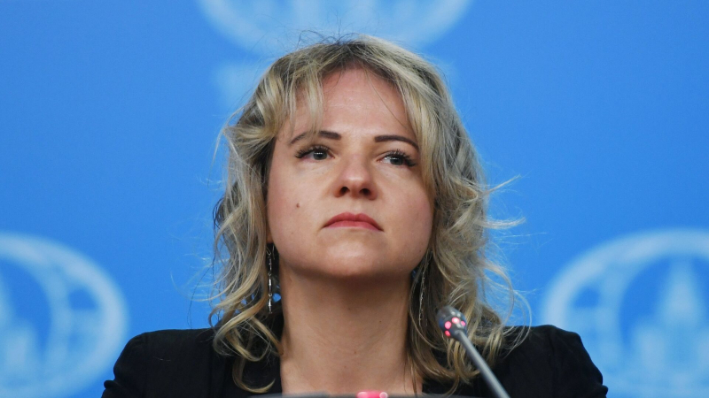 Шерпа России рассказала о главной теме саммита G20 в США
