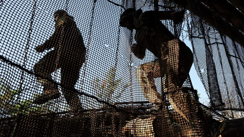 Беженка из Торского рассказала об иностранных наемниках в рядах ВСУ