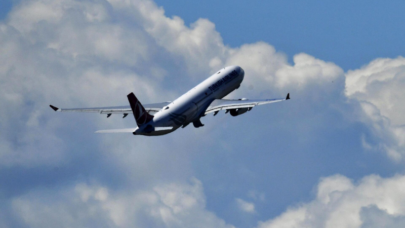 Визу в Грузию потребовали у россиян при регистрации в Turkish Airlines